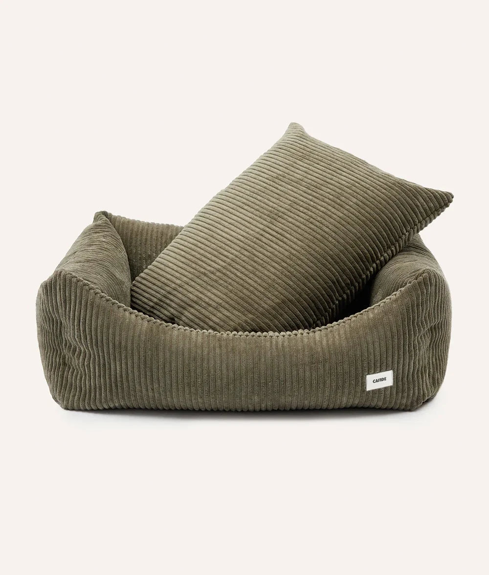 Chien reposant dans un panier installé au calme dans une pièce de vie