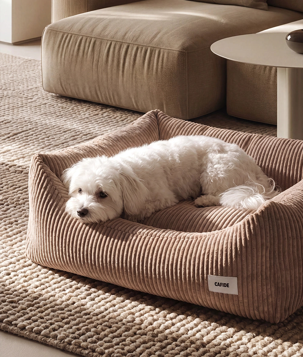 Lit pour chien en velours côtelé vert, vue en situation