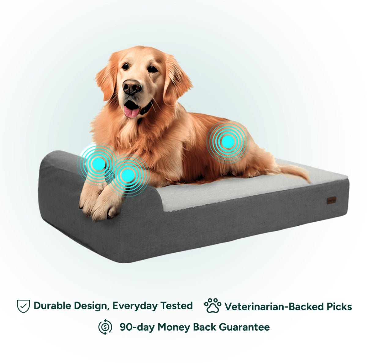Bienfaits du lit orthopédique sur les articulations du chien