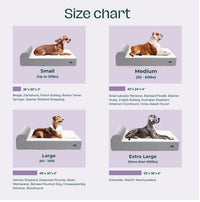 Guide des tailles du lit orthopédique pour chien, de S à XL