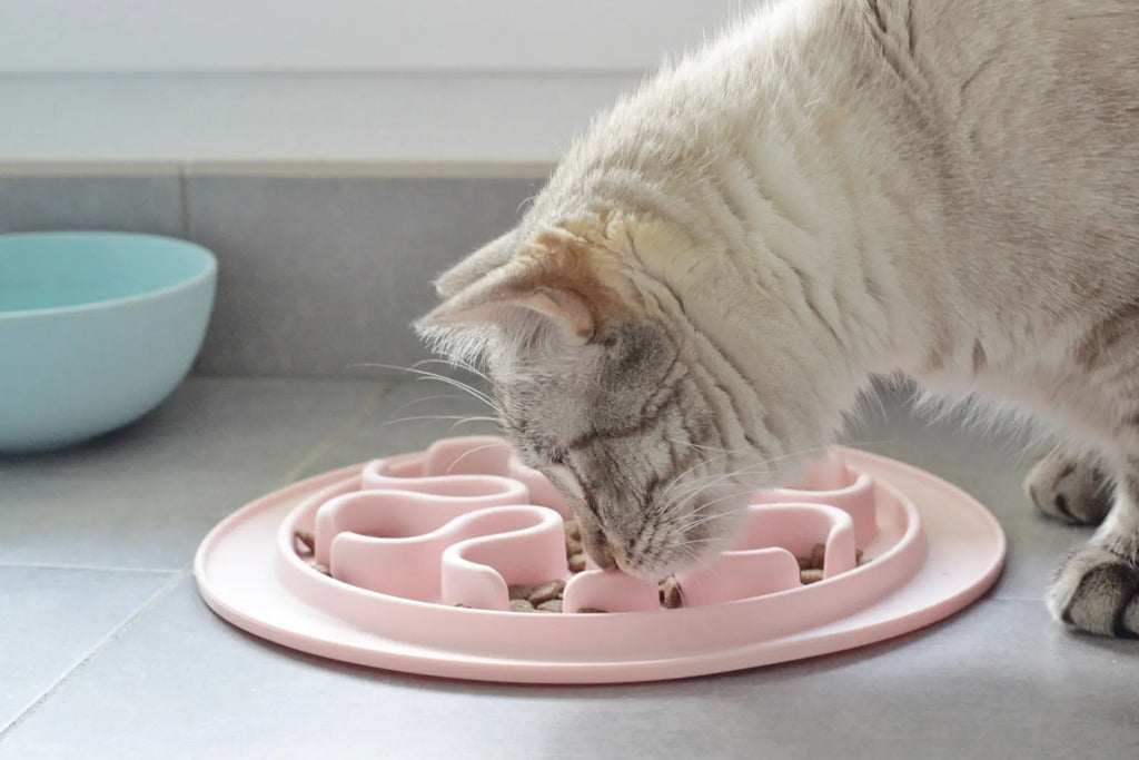 Gamelle anti-glouton pour chat en silicone, chat en train de manger lentement dans les reliefs du tapis