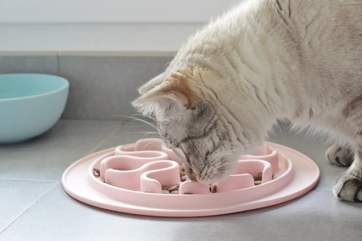 Gamelle anti-glouton pour chat en silicone, chat en train de manger lentement dans les reliefs du tapis