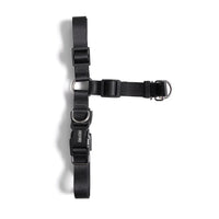 Harnais anti-traction pour chien noir, double attache avec anneau frontal et anneau dorsal