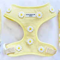 Harnais réglable pour chiot jaune à motif marguerites, vue produit