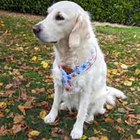 Chien portant le harnais en Y à motifs fleuris