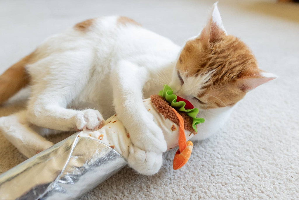 Crevette interactive à tirer du jouet kebab pour chat