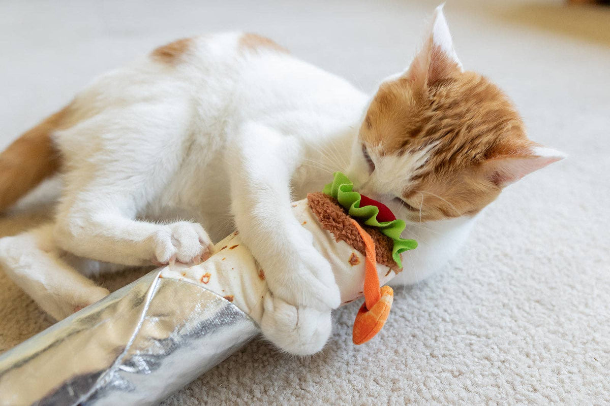 Crevette interactive à tirer du jouet kebab pour chat
