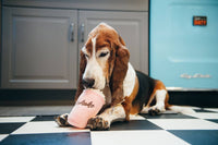 Jouet Milkshake American Classic Mutts de P.L.A.Y. pour chien